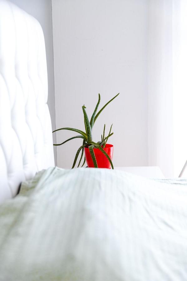 Modern Apartment With A View Feels Like Home Pristina Exteriör bild